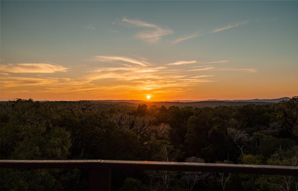 Atardecer tikal