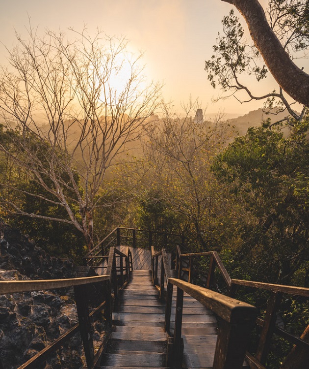 Templo iv tikal