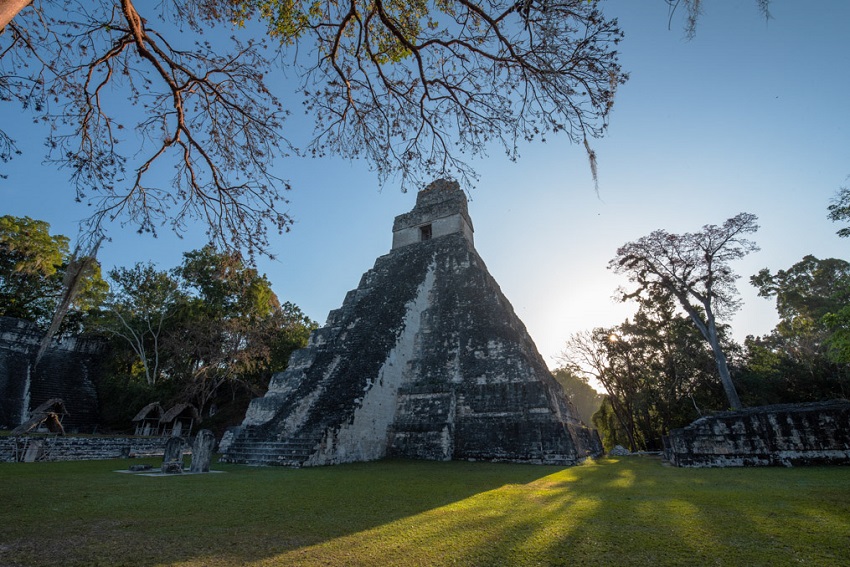 Granj jaguar tikal